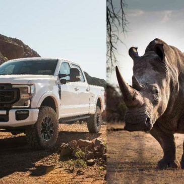 Ford Super Duty Rhino