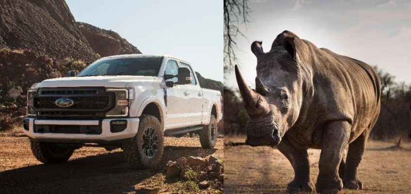 Ford Super Duty Rhino